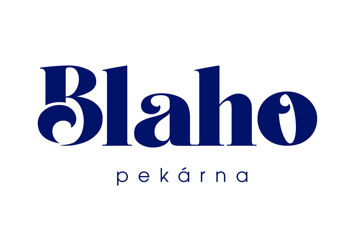 Logo Blaho blue (2)